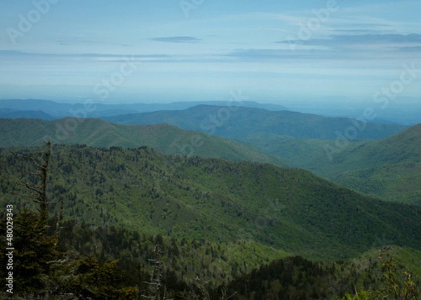 Obraz Great Smoky Mountains
