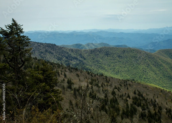 Obraz Great Smoky Mountains