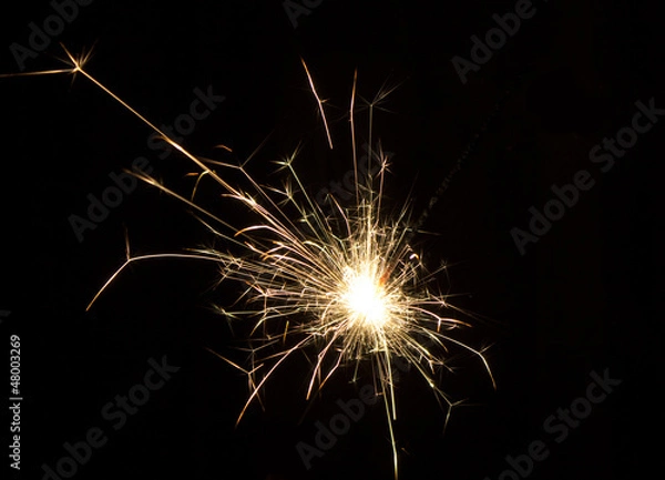 Fototapeta Bengal fire