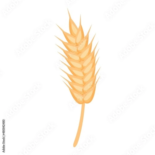 Fototapeta Wheat zn nutrition icon cartoon vector. Food vitamin. Mineral suplemet