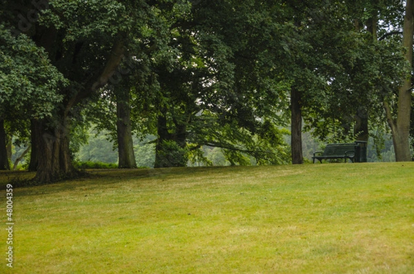 Obraz Empty bench in a park