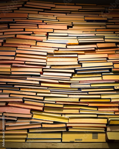 Obraz Books On Books