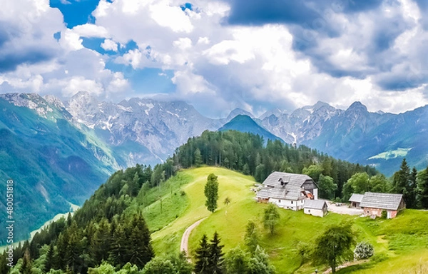 Obraz Mountain landscape, Alps in Slovenia with farm next to Logarska dolina