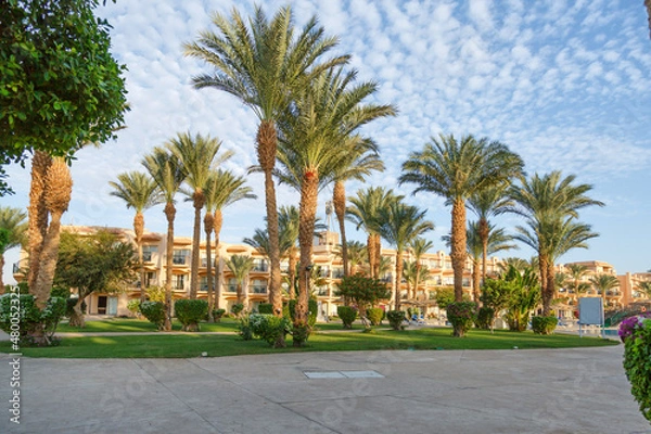 Fototapeta Hurghada, Egypt. Egyptian garden with palm trees in hotel .Swimming pool and accommodation at tropical resort. Buildings, swimming pools and a recreation area by the red sea. All iclusive holidays.