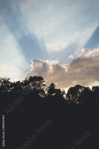 Obraz Spring Sunset Sun Rays