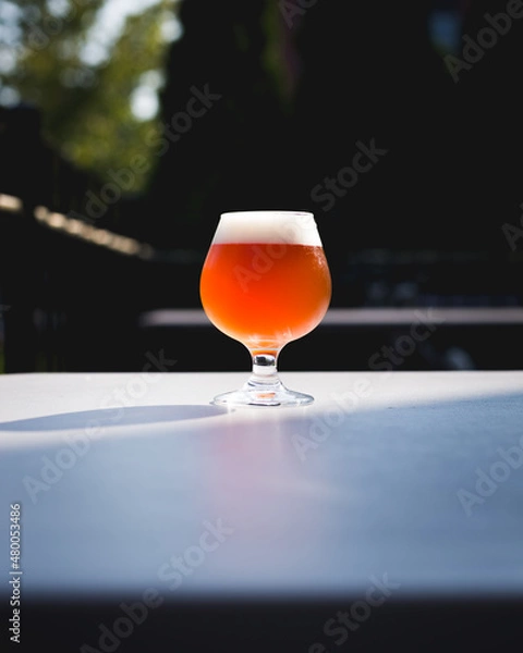 Obraz Patio Pink Beer Snifter