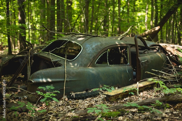 Obraz Broken Down Car Woods