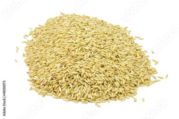 Obraz Avena Decorticata