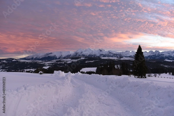 Fototapeta Tatry widziane z Łapszanki