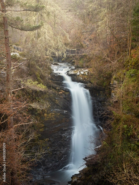 Obraz waterfall in the forest