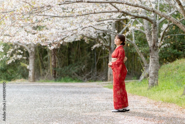 Obraz 美しい日本女性