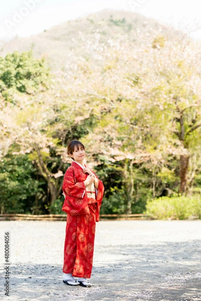 Obraz 美しい日本女性