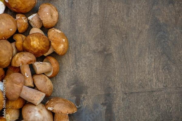 Fototapeta Porcini mushrooms lying on the dark wooden  background side on the left. Place for text