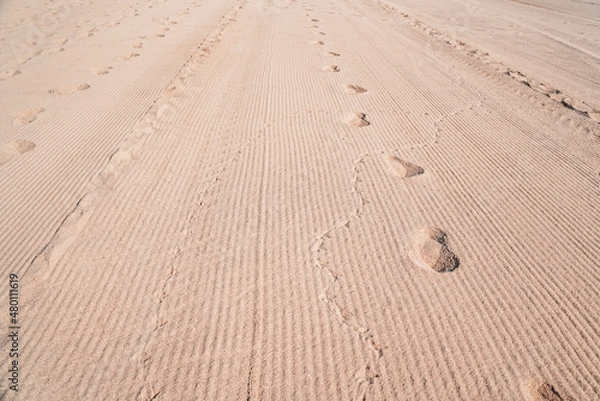 Fototapeta High angle view of footprints of man and bird on sand in desert