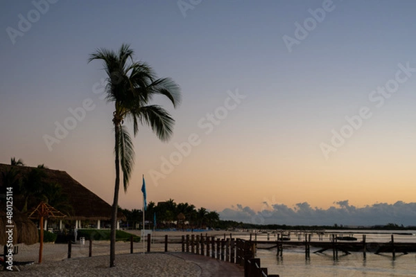 Obraz sunset and palm on the beach