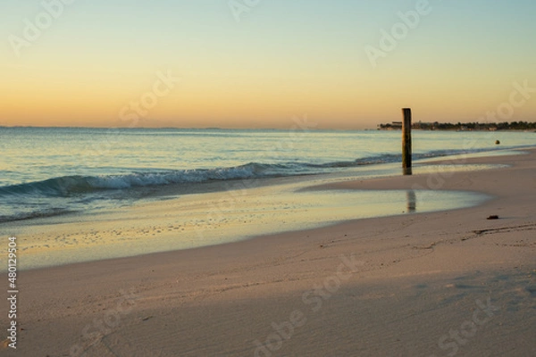 Obraz sea ​​shore
