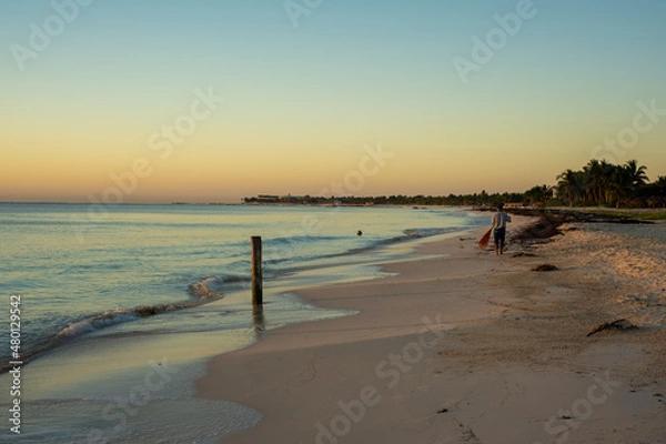 Obraz sea ​​shore
