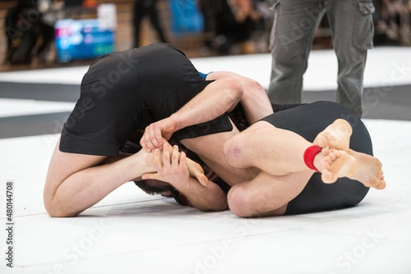 Obraz Half Guard Sweep - Brazilian Jiu Jitsu
