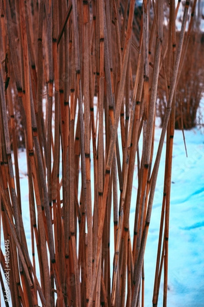 Obraz Uferlandschaft im Schnee