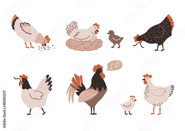 Fototapeta Set of colorful hen, chicken, chick, rooster and nest with eggs. Chicken farm. Cartoon. Cozy vector illustration isolated on white background.