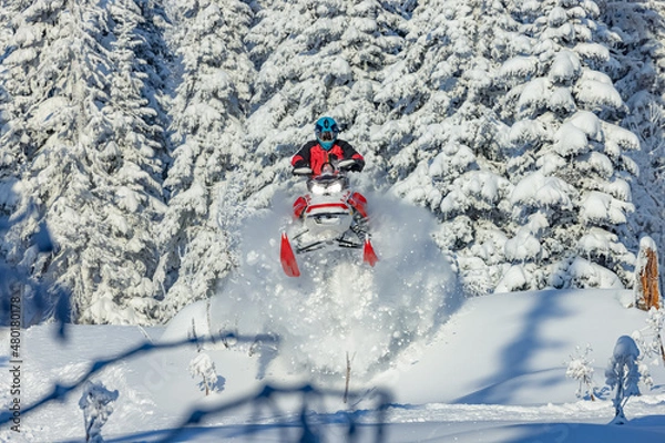 Fototapeta the snowmobile jumped out of the snow-covered forest. a sports snowmobiler in bright clothes and a helmet without brands, a colorful snowmobile of a new model