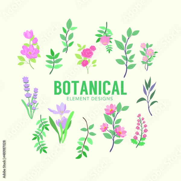Obraz vector floral elements. Branches and leaves colors. Herbs and plants collection. Botanical illustrations.
Description1