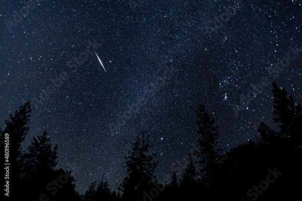 Obraz Orionids Meteor Shower Landscape