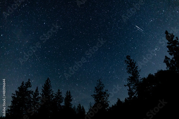 Obraz Orionids Meteor Shower Landscape