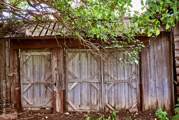 Fototapeta Wooden gates of an old abandoned house. Traditional Russian village architecture.