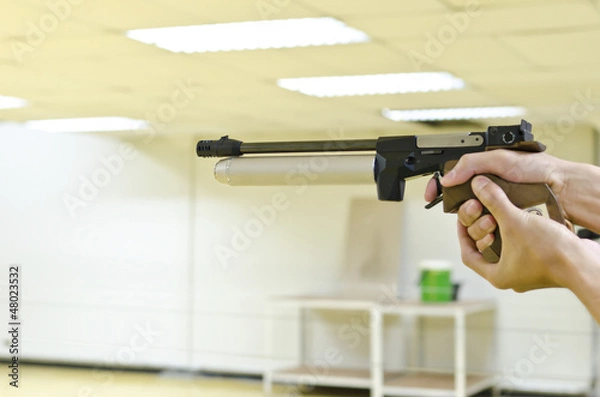 Obraz training gun aim to target