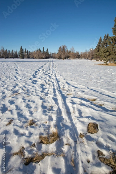 Fototapeta footprints in the snow on a path with a field and trees in the winter