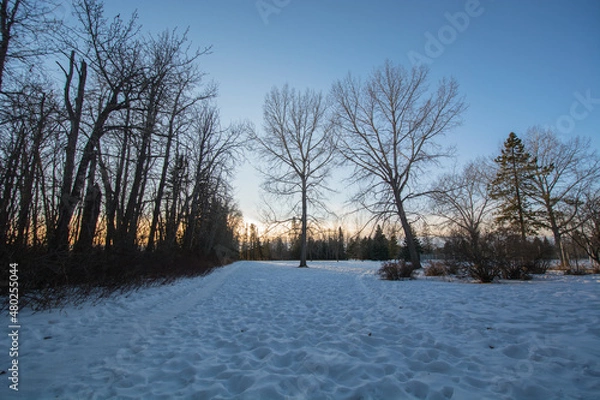 Fototapeta sunset in the park over a frozen path