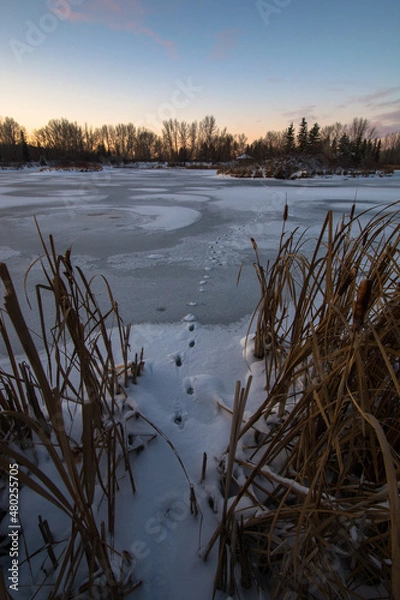 Fototapeta Footprints on a frozen pond in the snow