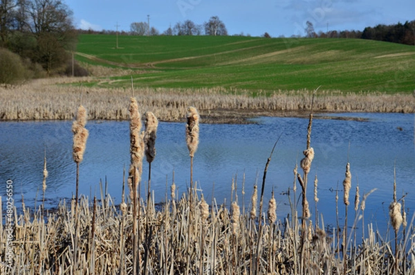 Fototapeta Nad jeziorem