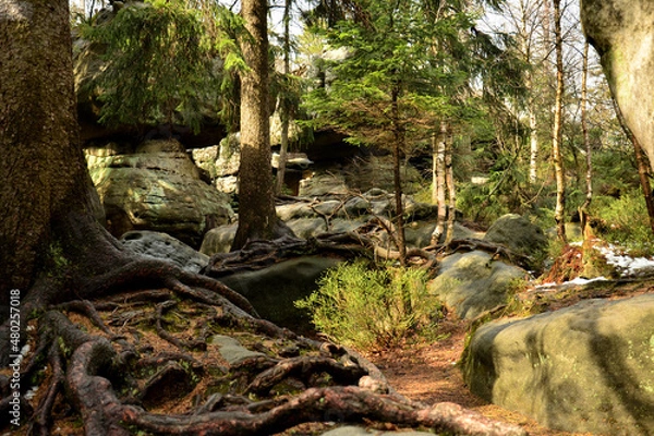 Fototapeta Błędne Skały