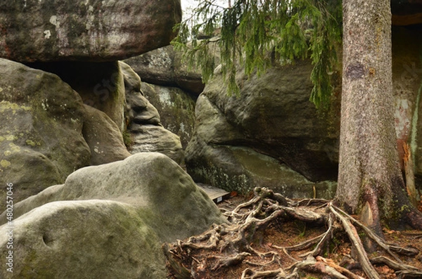 Fototapeta Błędne Skały