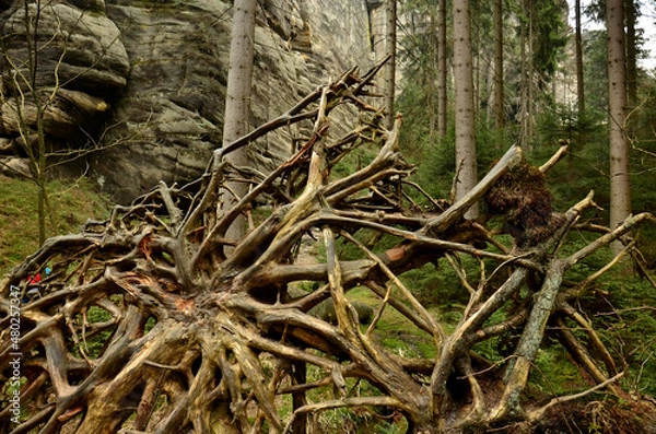 Fototapeta Góry Stołowe