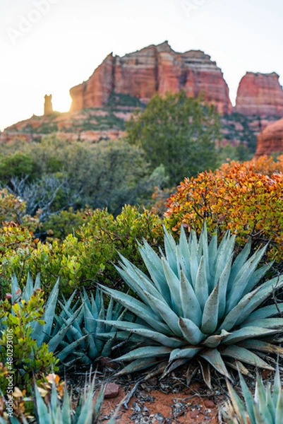 Obraz Desert Landscape