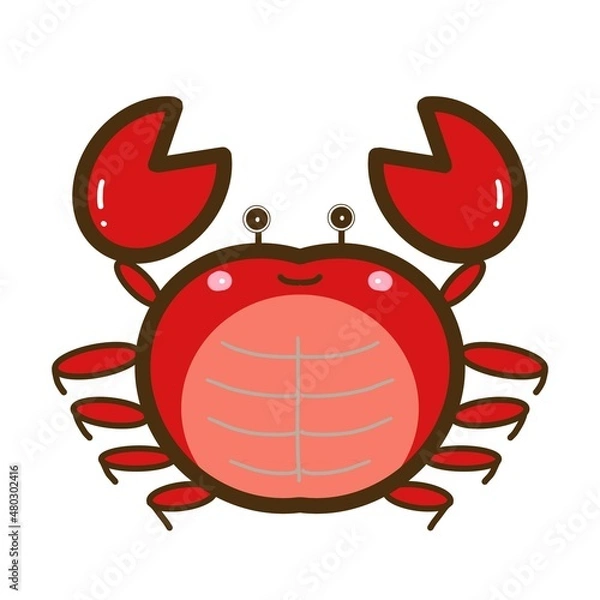 Obraz 海のいきもの　かわいいイラスト素材　カニ
