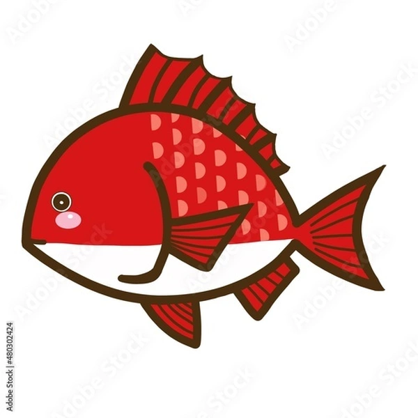 Obraz 海のいきもの かわいいイラスト素材　魚のタイ
