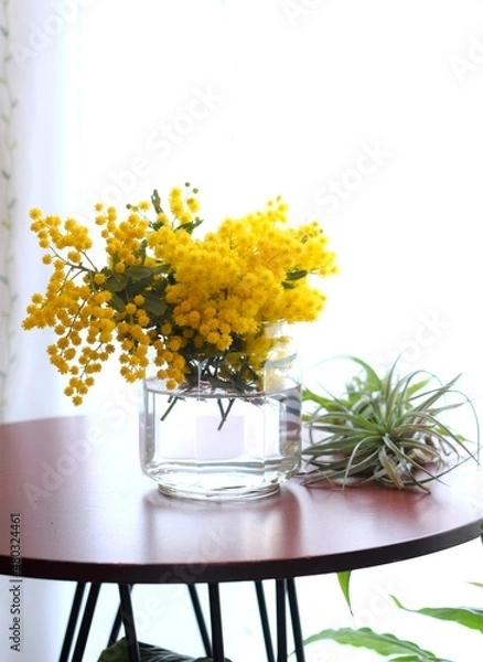 Fototapeta 花瓶に入れたミモザとエアプランツ、春のインテリア