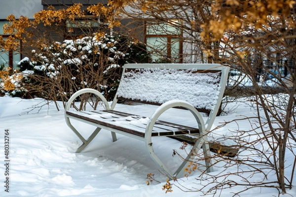 Obraz bench in the park