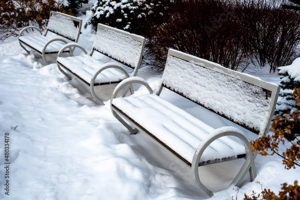 Obraz benches in the snow