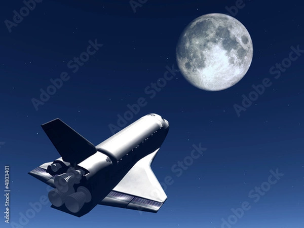 Obraz Shuttle In The Sky 55
