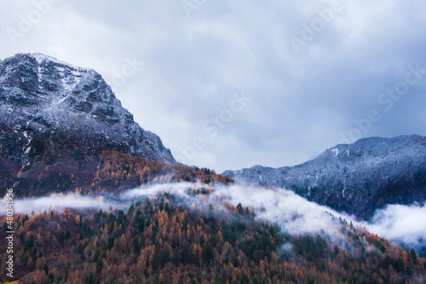 Fototapeta snow covered mountains, mist and autumnal trees
