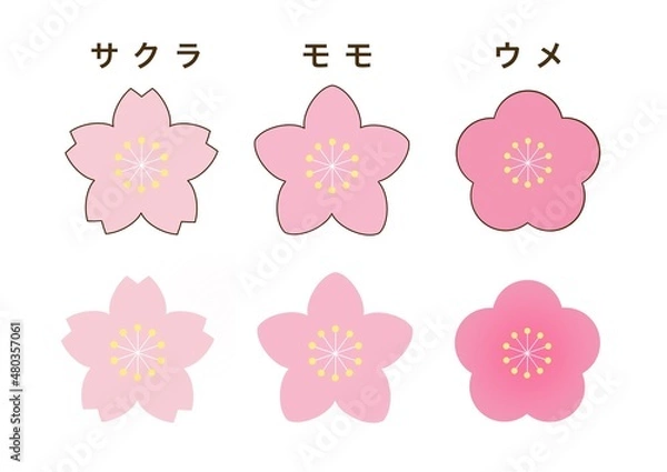 Obraz シンプルでかわいい桜の花、桃の花、梅の花のイラスト　