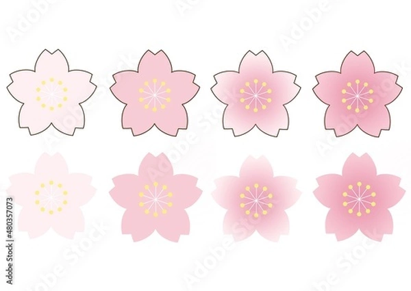 Obraz シンプルでかわいい桜の花のイラスト　花芯あり　