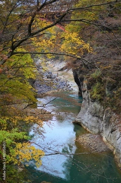 Obraz 秋の吾妻渓谷