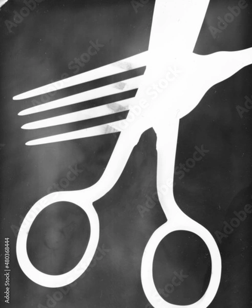 Obraz Photogram, rayogram, photo paper development