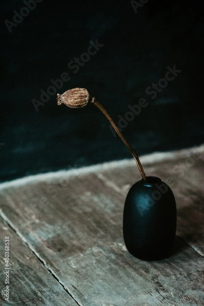 Obraz schwarz und Mohn